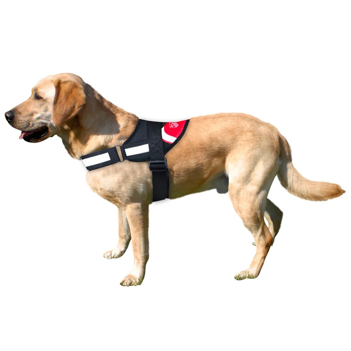 Discount REINFORCED DOG HARNESS S Pets